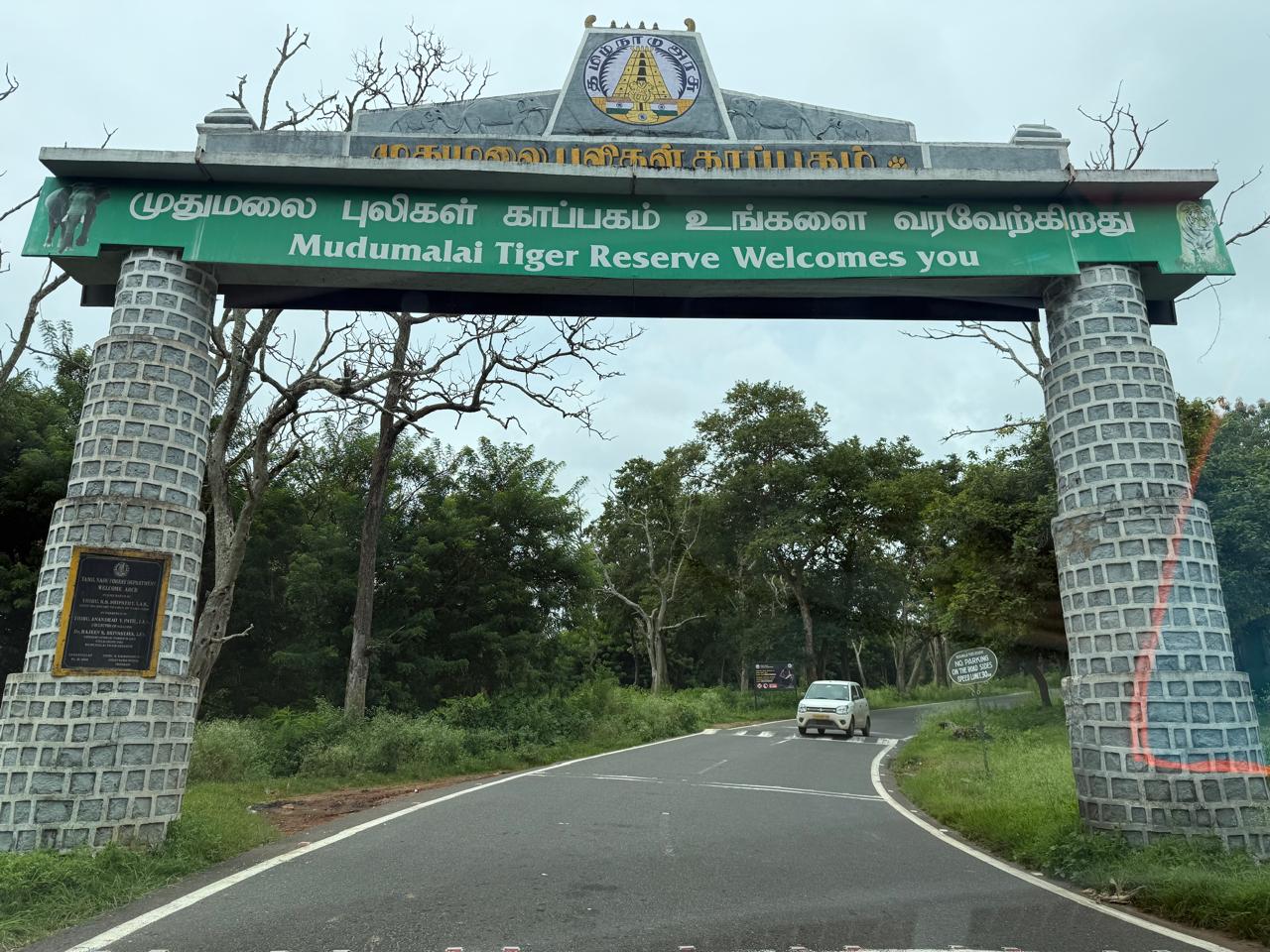 Trip to Mysore, Ooty and Coorg-4